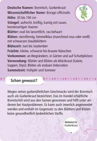 X_Expedition Natur 50 essbare Wildpflanzen - entdecken & bestimmen