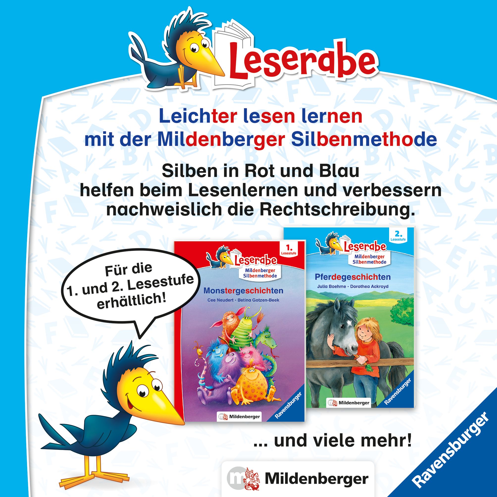 Leserabe 2. Lesestufe - Ninjageschichten (Mängelexemplar)
