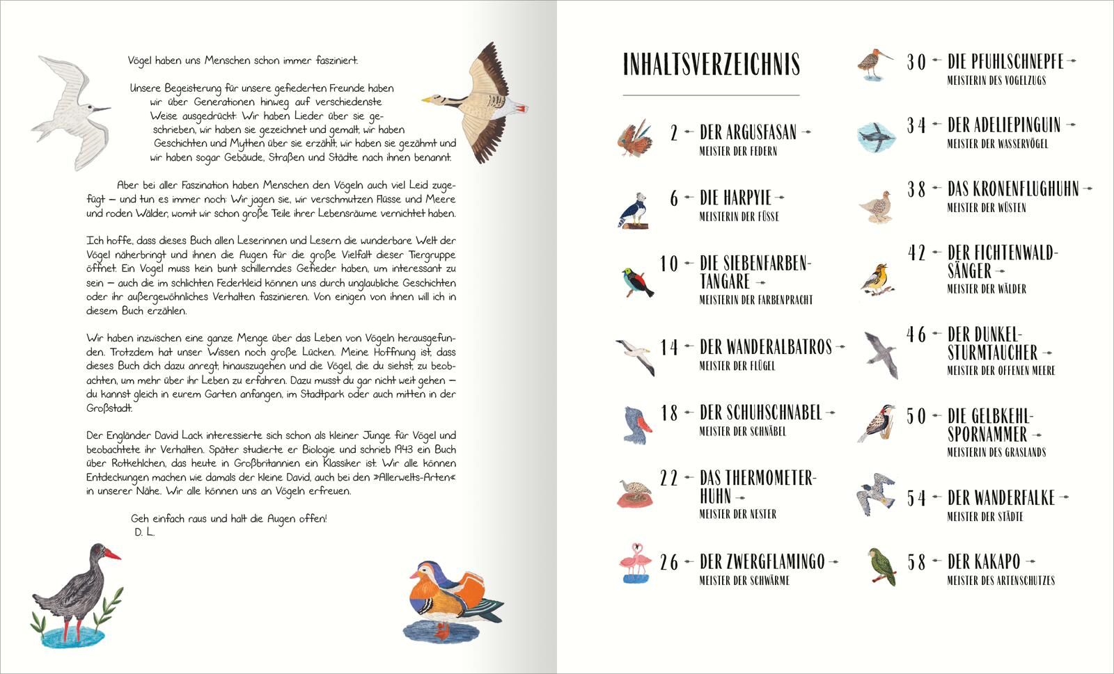 Vögel (Mängelexemplar)