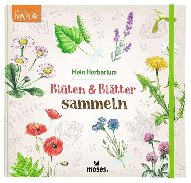 X_Blüten & Blätter sammeln - Mein Herbarium (Mängelexemplar)