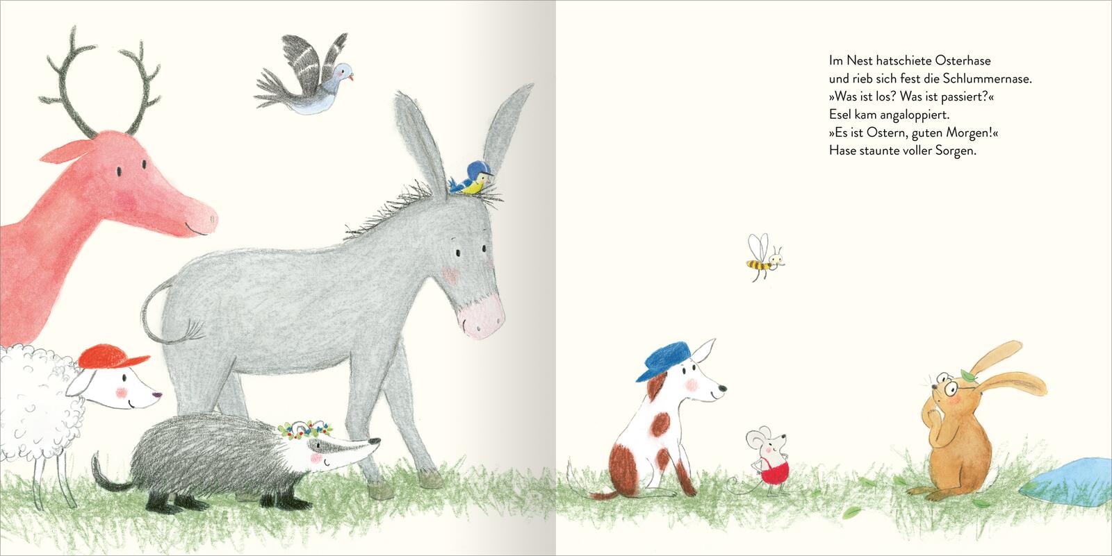 Osterhase Schlummernase (Mängelexemplar)