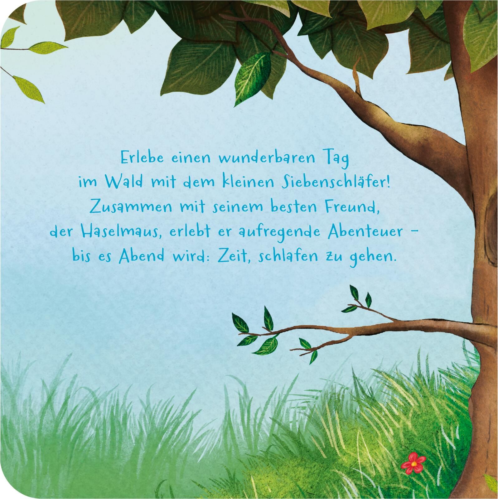 Der kleine Siebenschläfer: Mein liebstes Würfelpuzzle (Mängelexemplar)