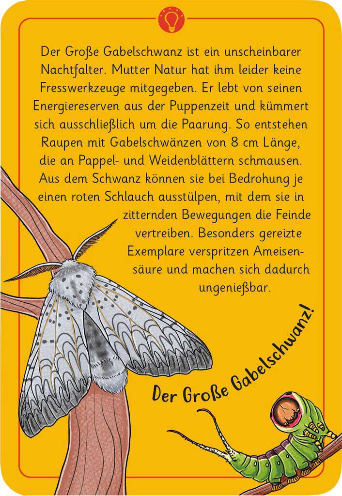 X_Expedition Natur - 50 wundersame Tierrätsel: Insekten