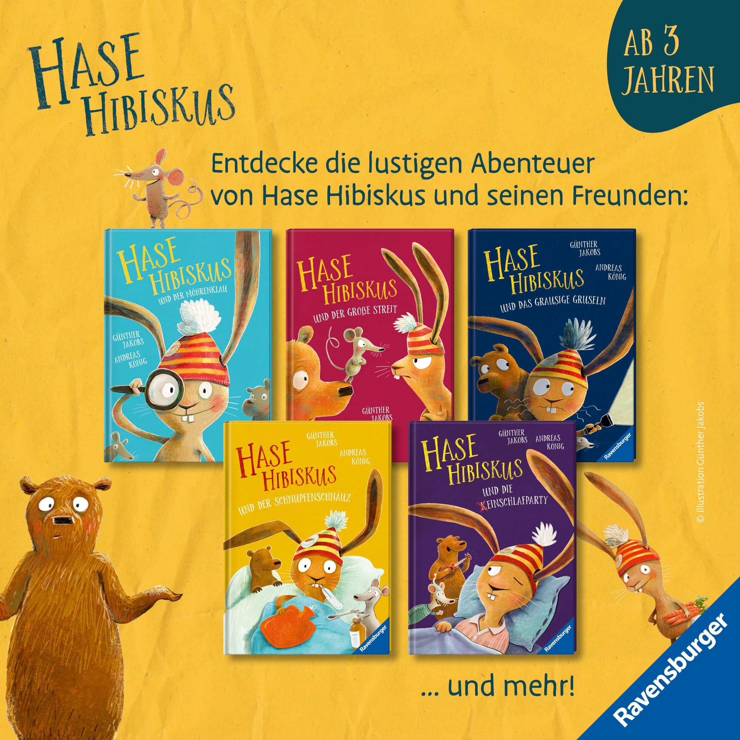 Hase Hibiskus und die (K)Einschlafparty (Mängelexemplar)