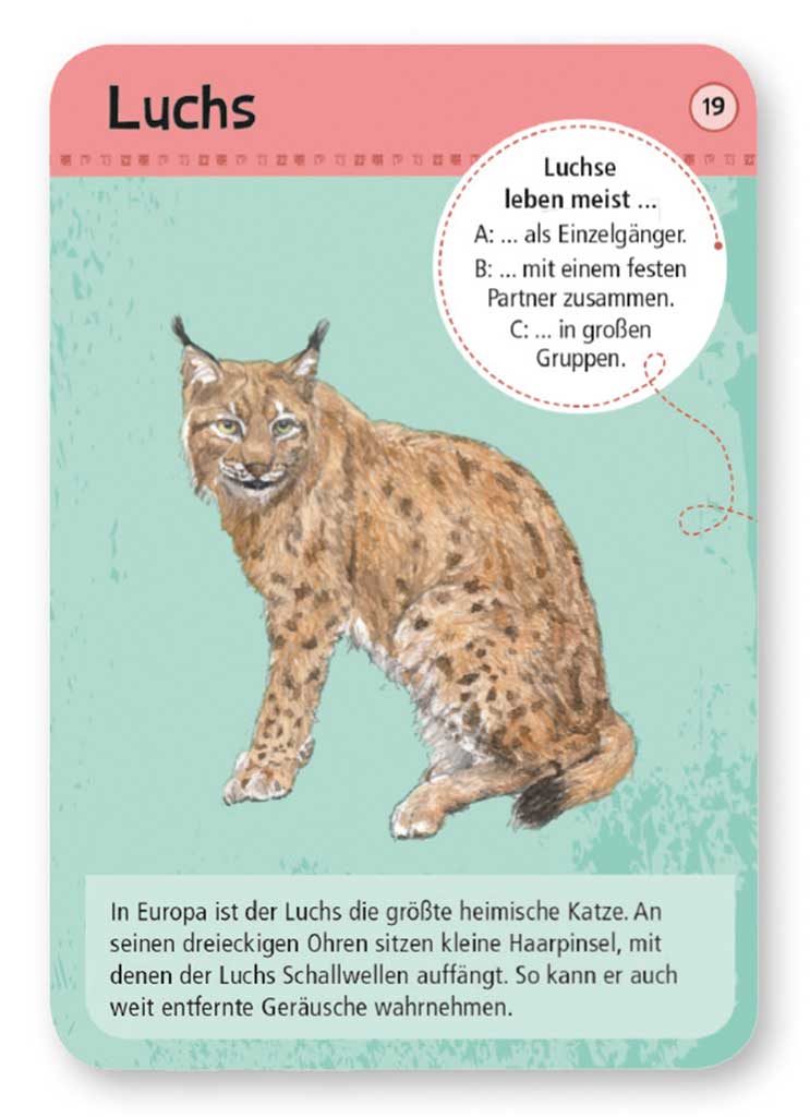 X_Expedition Natur - 50 heimische Wald- & Wildtiere