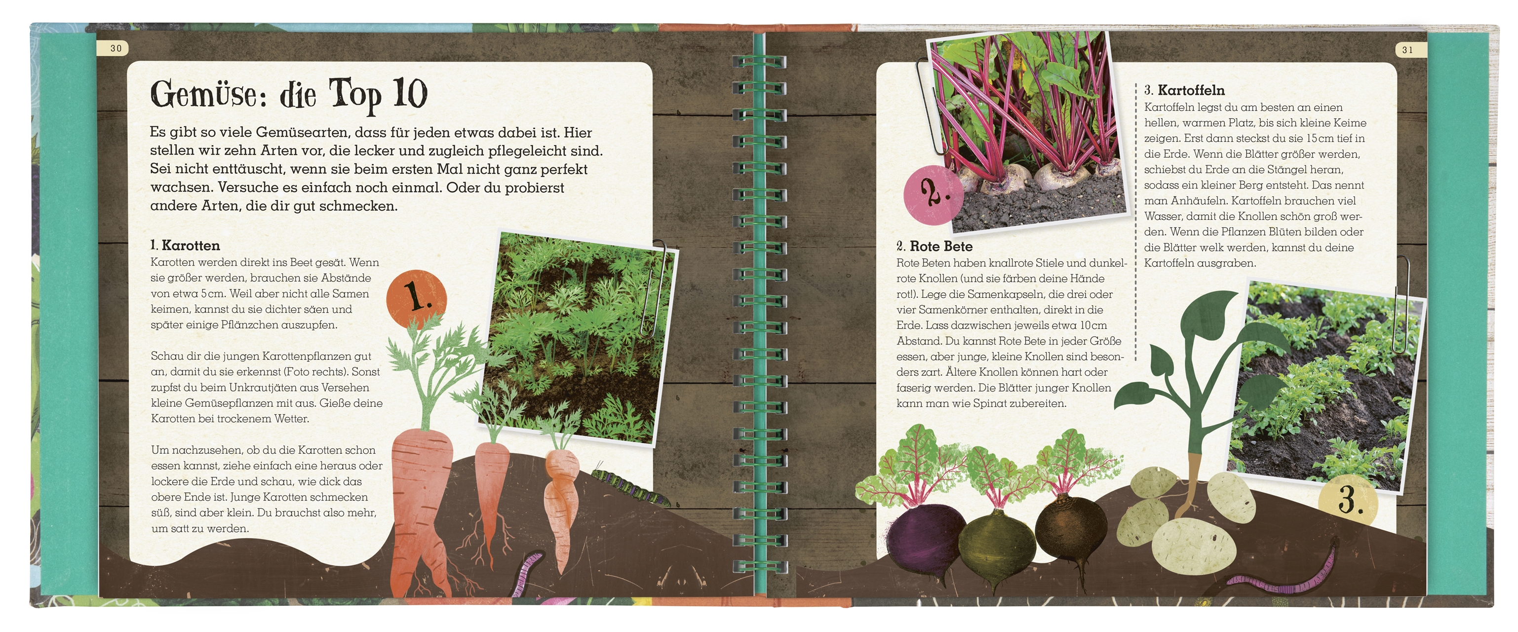 Grün - Mein Mitmach-Gartenbuch. Obst und Gemüse selber ziehen!