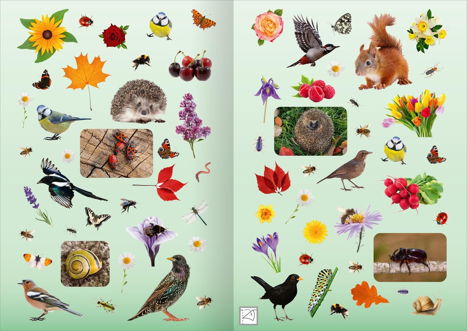 Naturforscher-Kids – Fotosticker Im Garten