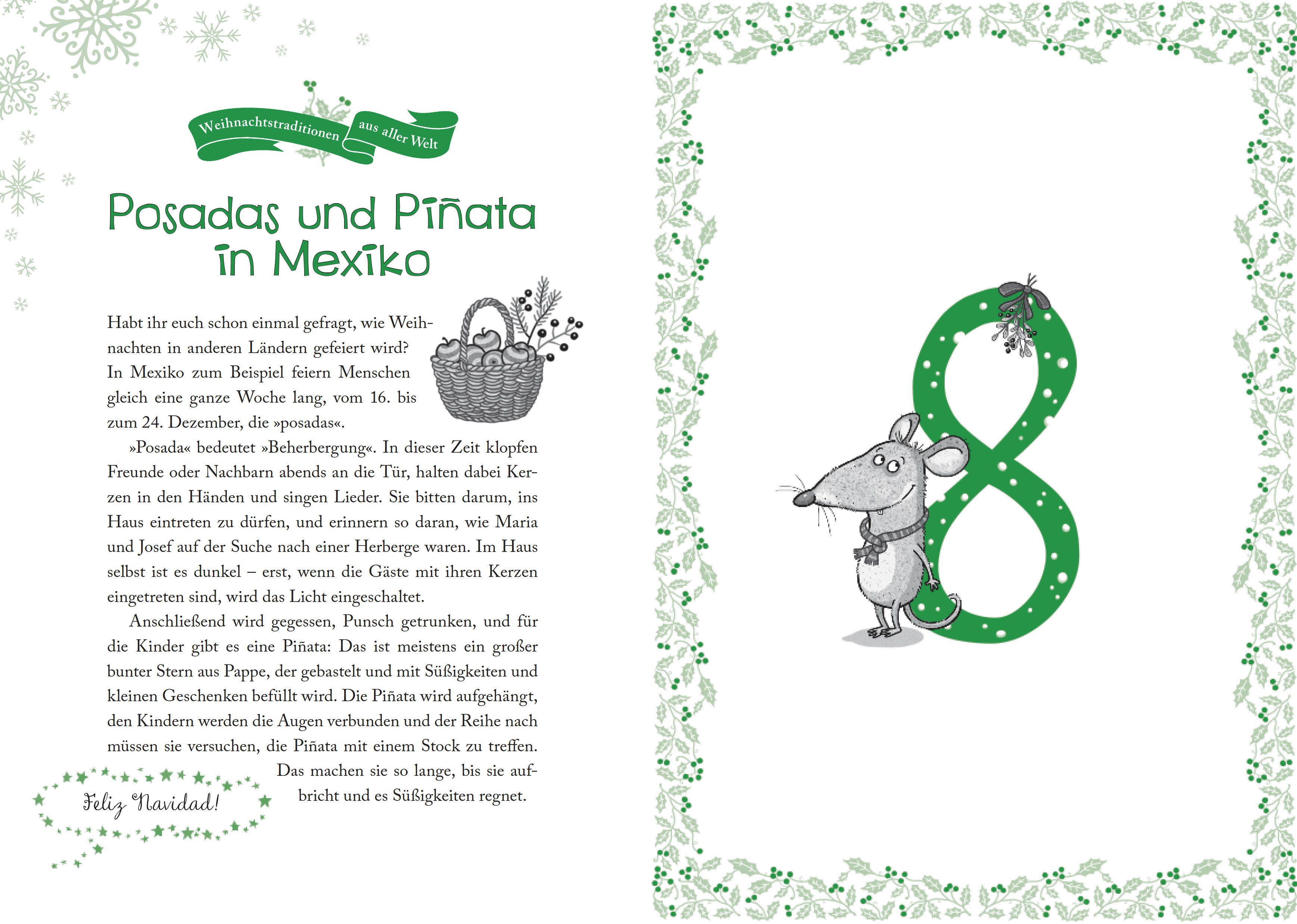 Petronella Apfelmus - Das Adventskalenderbuch (Mängelexemplar)