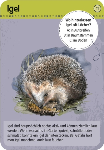 X_Expedition Natur - 50 Tiere der Nacht