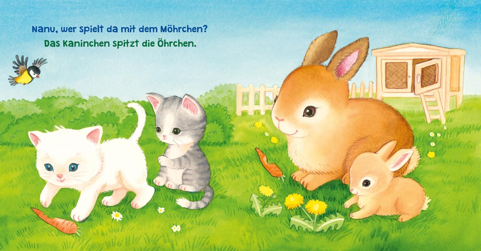 Baby Pixi (unkaputtbar) 164: Baby Pixi Stoff: Meine ersten Lieblingstiere (Mängelexemplar)