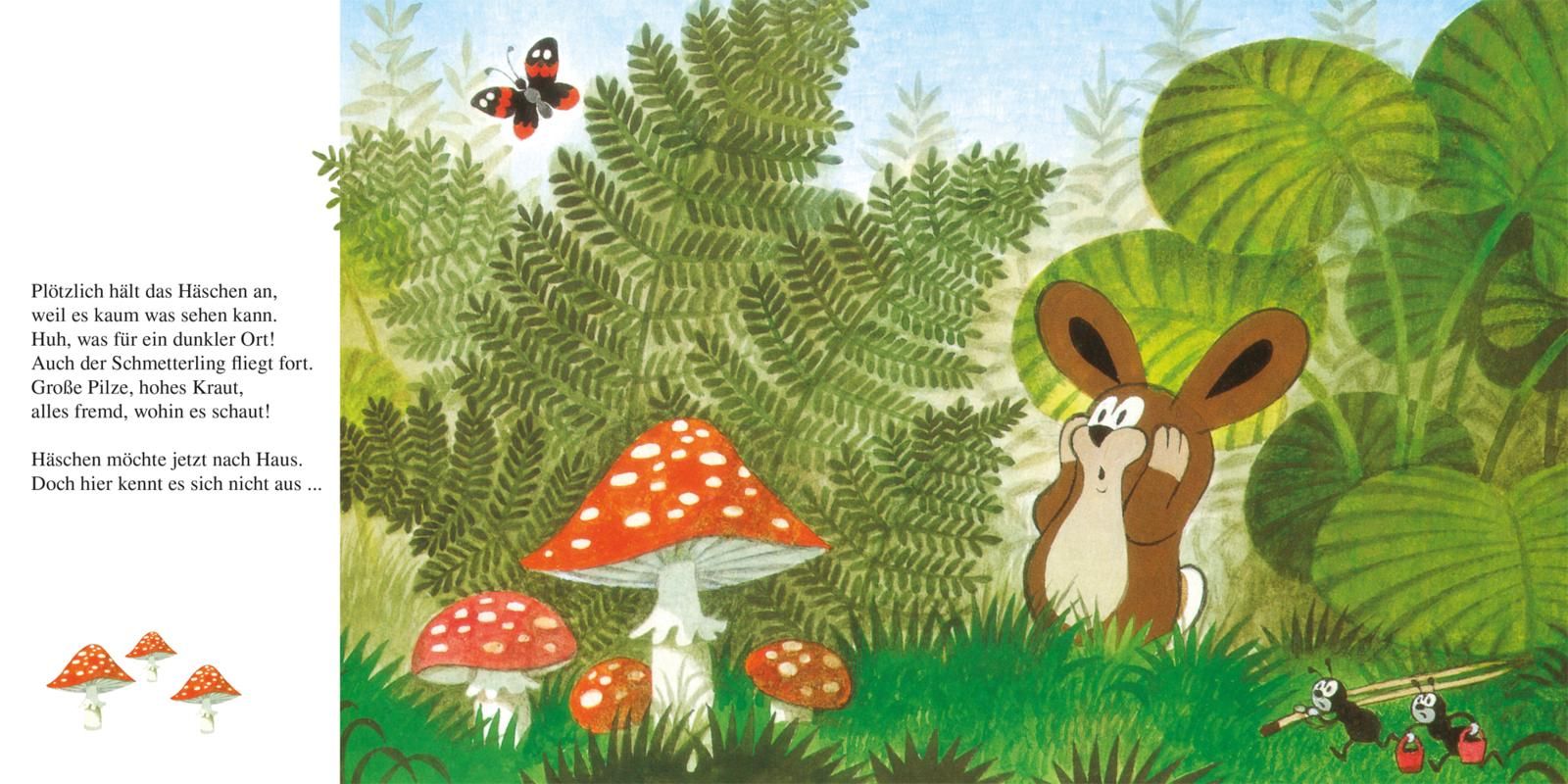 Der kleine Maulwurf rettet das Häschen (Mängelexemplar)