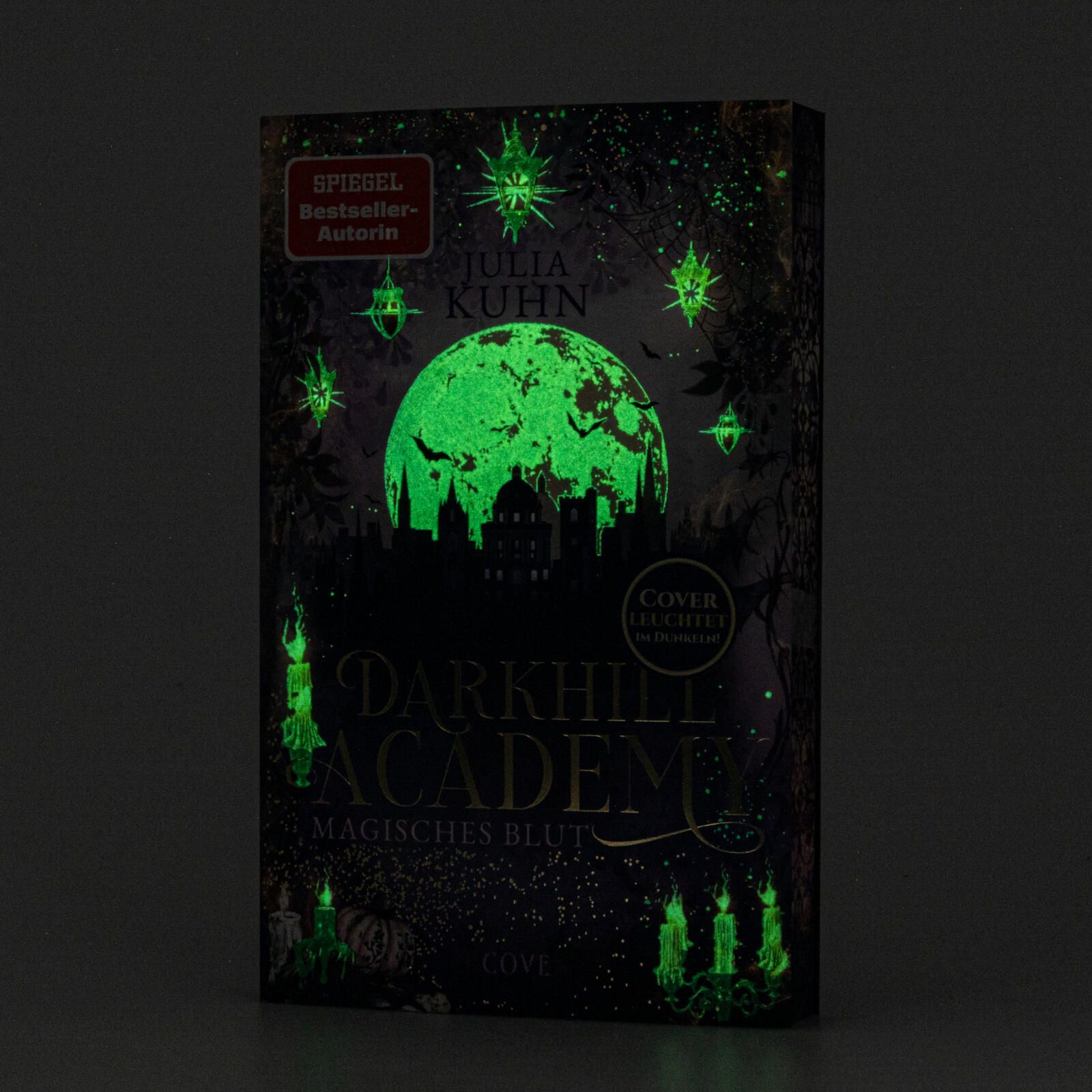 Darkhill Academy 1: Magisches Blut (Mängelexemplar)