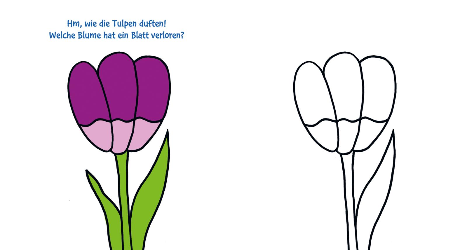 Ausmalbilder für Kita-Kinder: Das dicke Kindergarten-Malbuch: Auf der Wiese (Mängelexemplar)