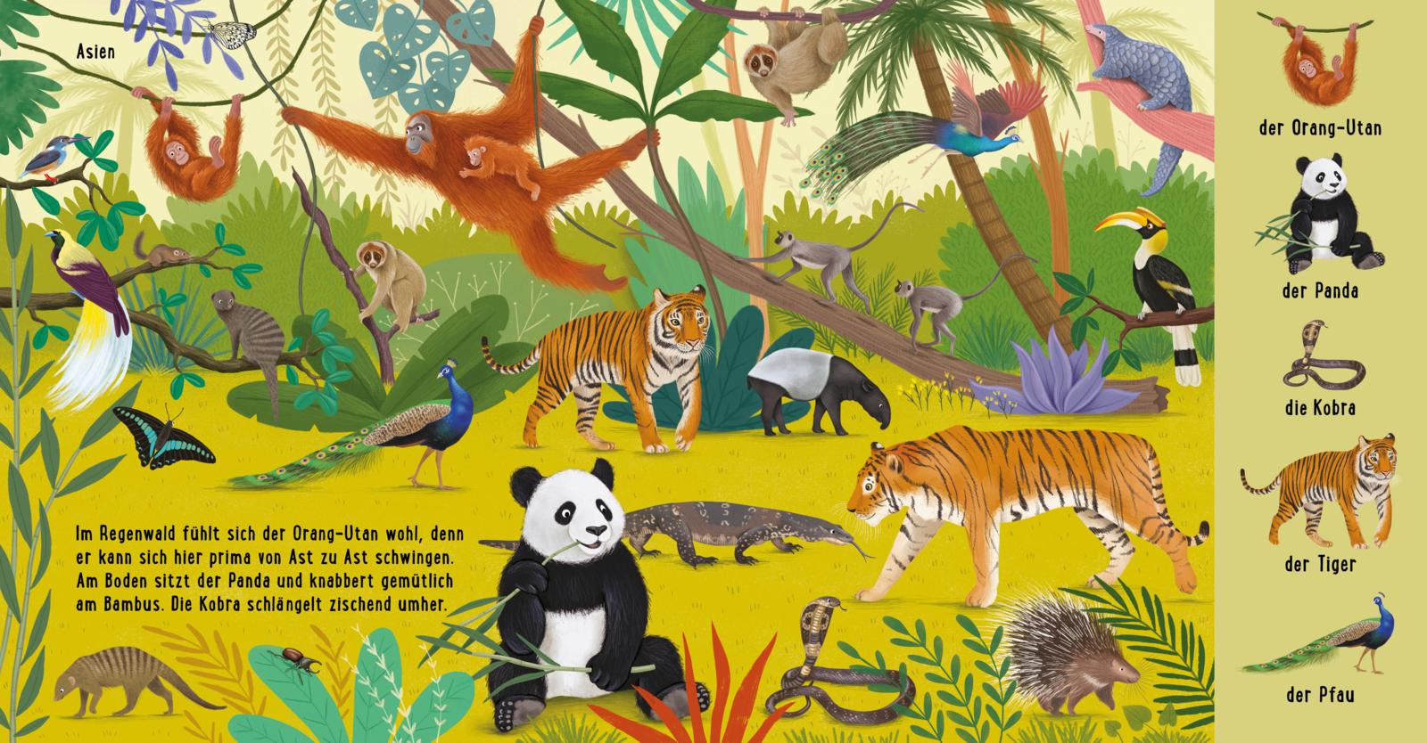 Mein erstes Natur-Wimmelbuch: Tiere aus aller Welt (Mängelexemplar)