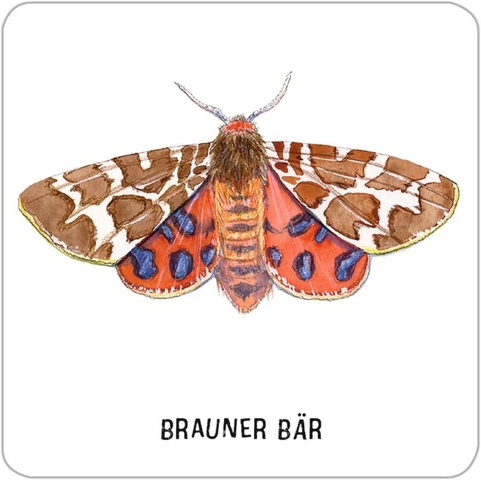 X_Expedition Natur - Das große Insekten Memo