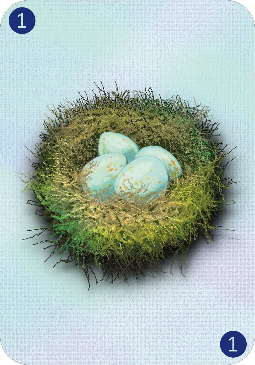 Spinn dich aus – Tiergeschichten