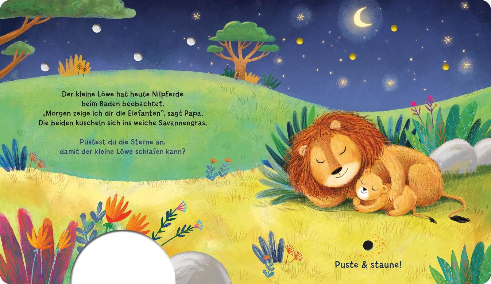 Mein Puste-Licht-Buch: Schlaf schön, kleiner Schatz! (Mängelexemplar)