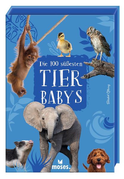 Die 100 süßesten Tierbabys (Mängelexemplar)