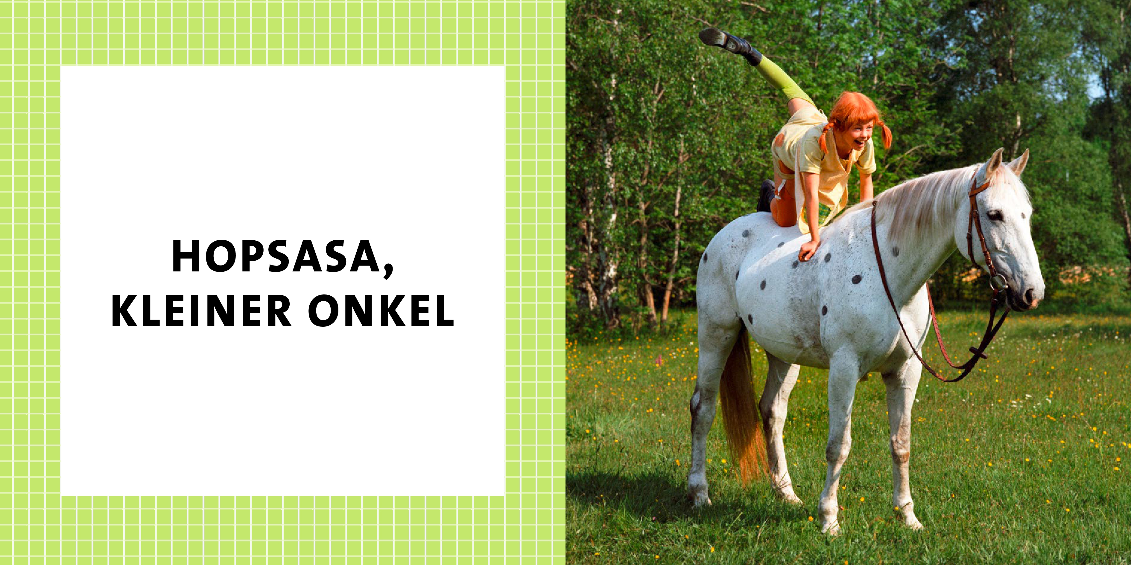 Pippi Langstrumpf. Hopsasa! (Mängelexemplar)