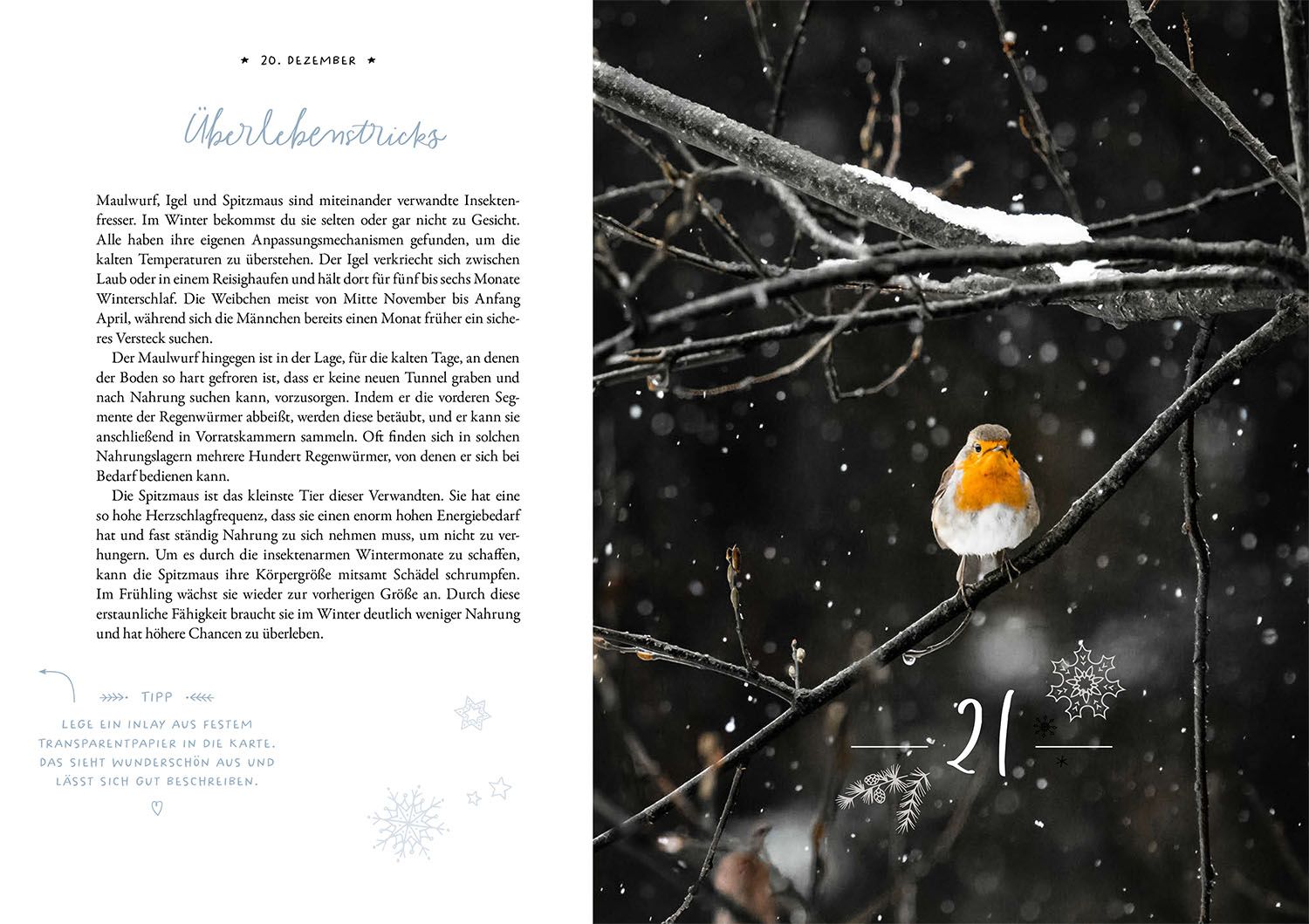 Winter Moments in Nature – der Adventskalender (Mängelexemplar)