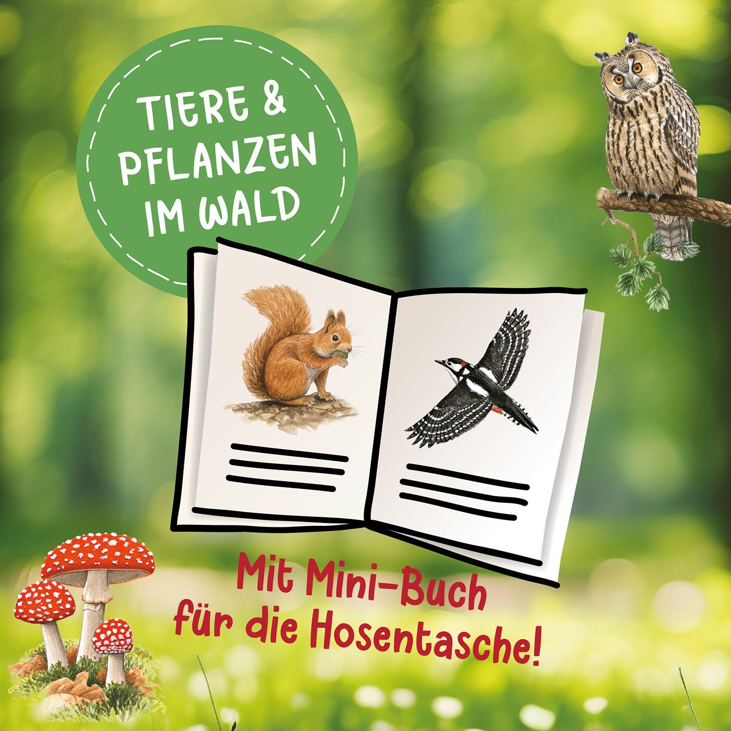Lesen lernen mit Naturrätseln, Bücherhelden 2. Klasse, Tiere und Pflanzen im Wald (Mängelexemplar)