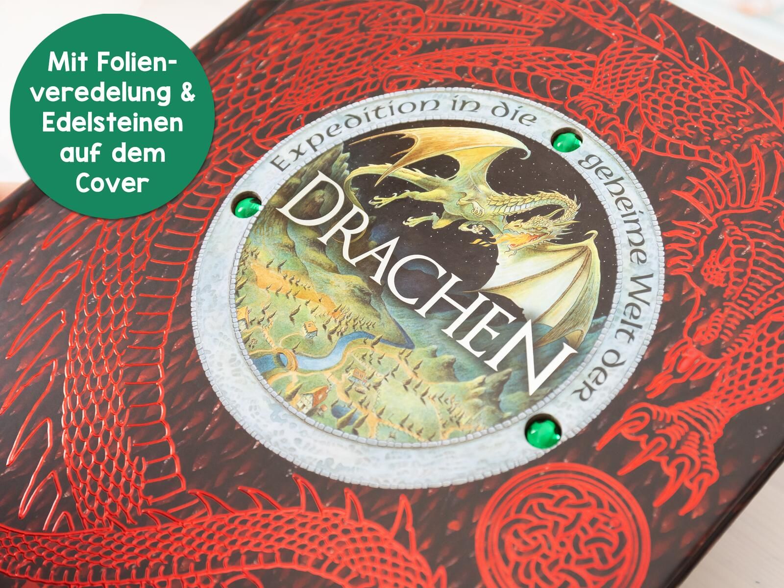 Expedition in die geheime Welt der Drachen (Mängelexemplar)
