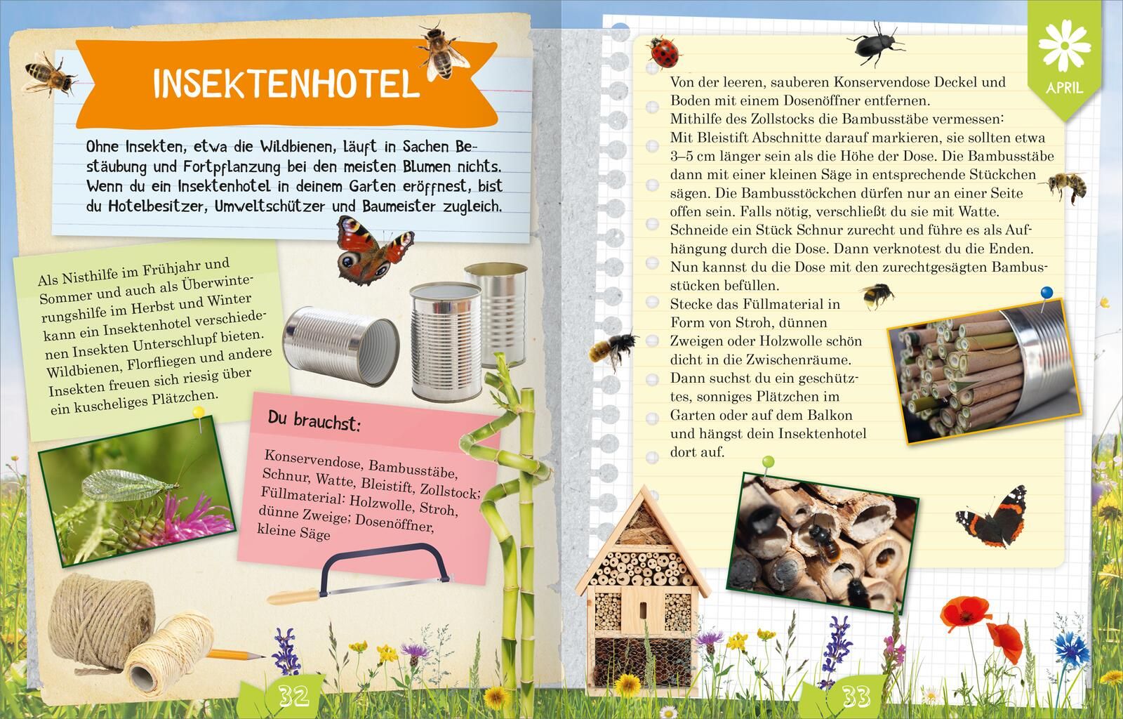 Naturforscher-Kids – Durch das Jahr (Mängelexemplar)