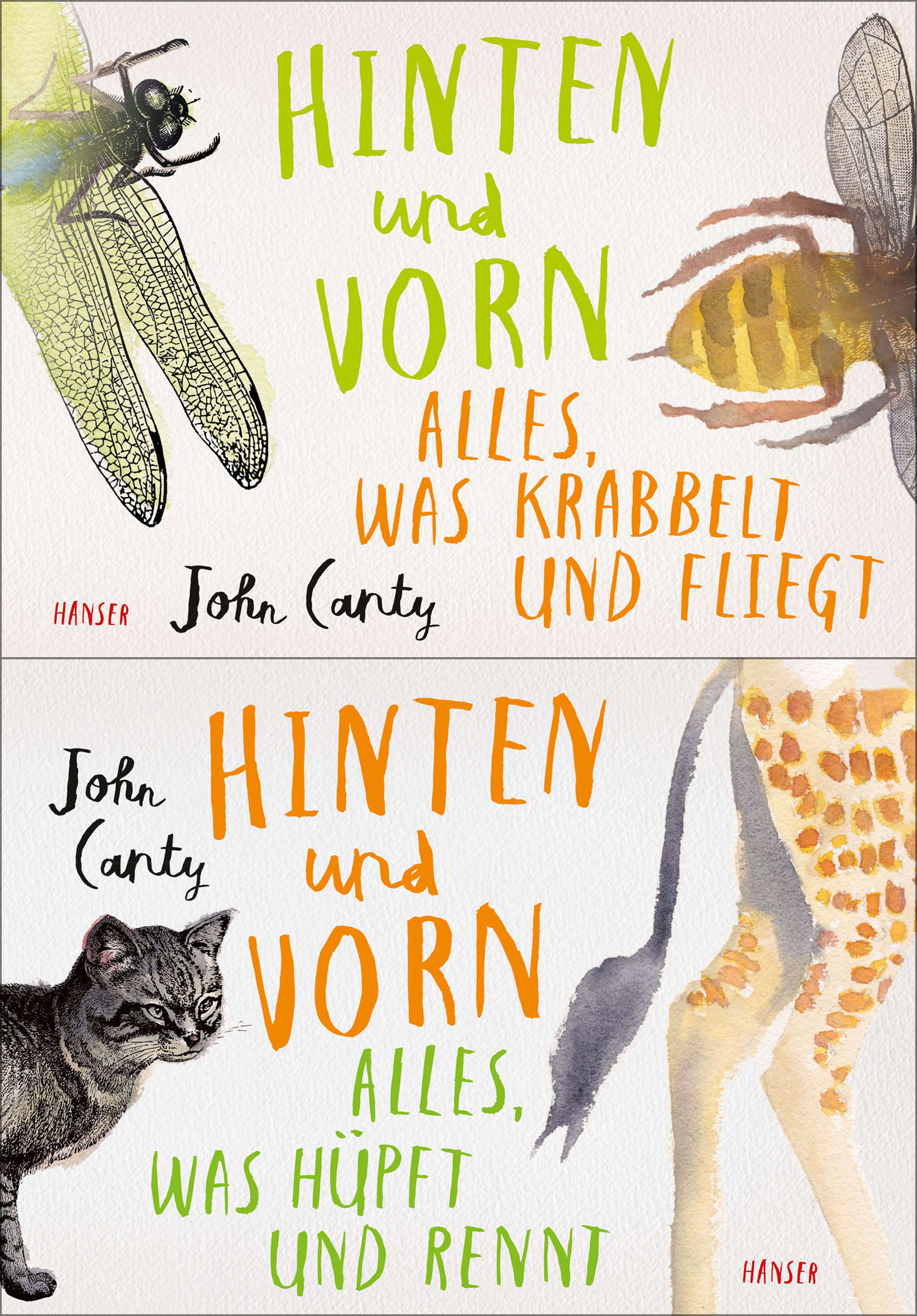 Sparpaket - Hinten und vorn - Alles, was hüpft und rennt | krabbelt und fliegt