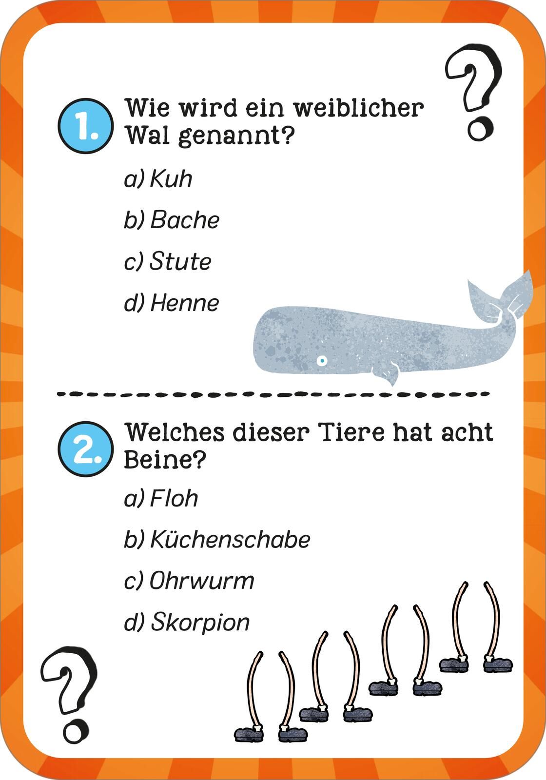 Das wilde Tier-Quiz (Mängelexemplar)