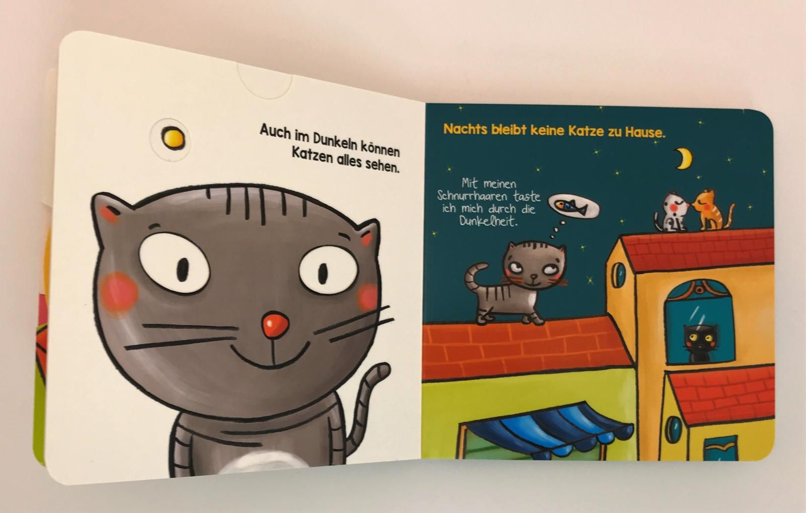 Die Katze - Ziehen, Drehen & Verstehen