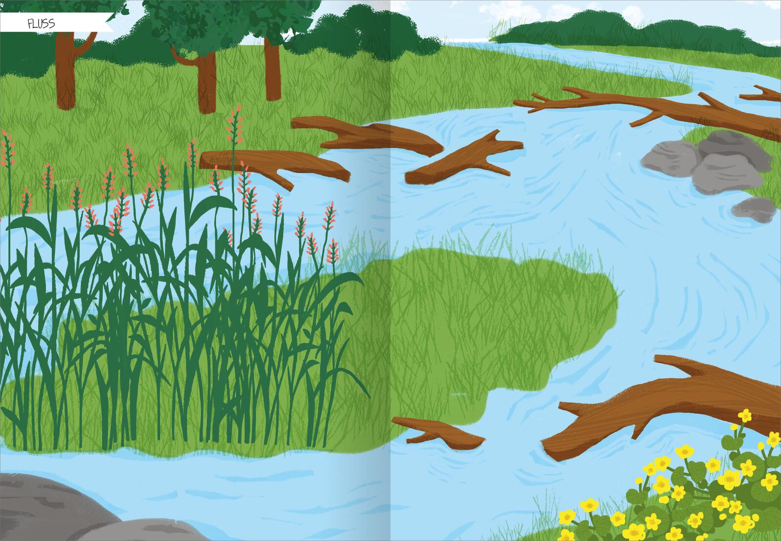 Naturforscher-Kids – Stickerheft Heimische Tierwelt (Mängelexemplar)