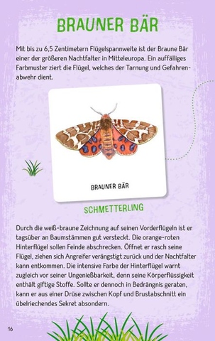 X_Expedition Natur - Das große Insekten Memo
