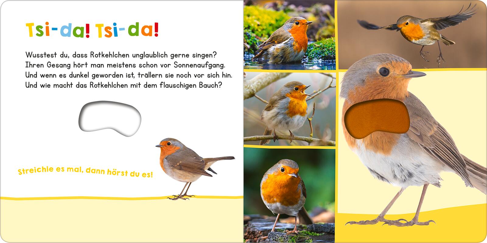 Hör mal rein, wer kann das sein? Vögel - Soundbuch (Mängelexemplar)