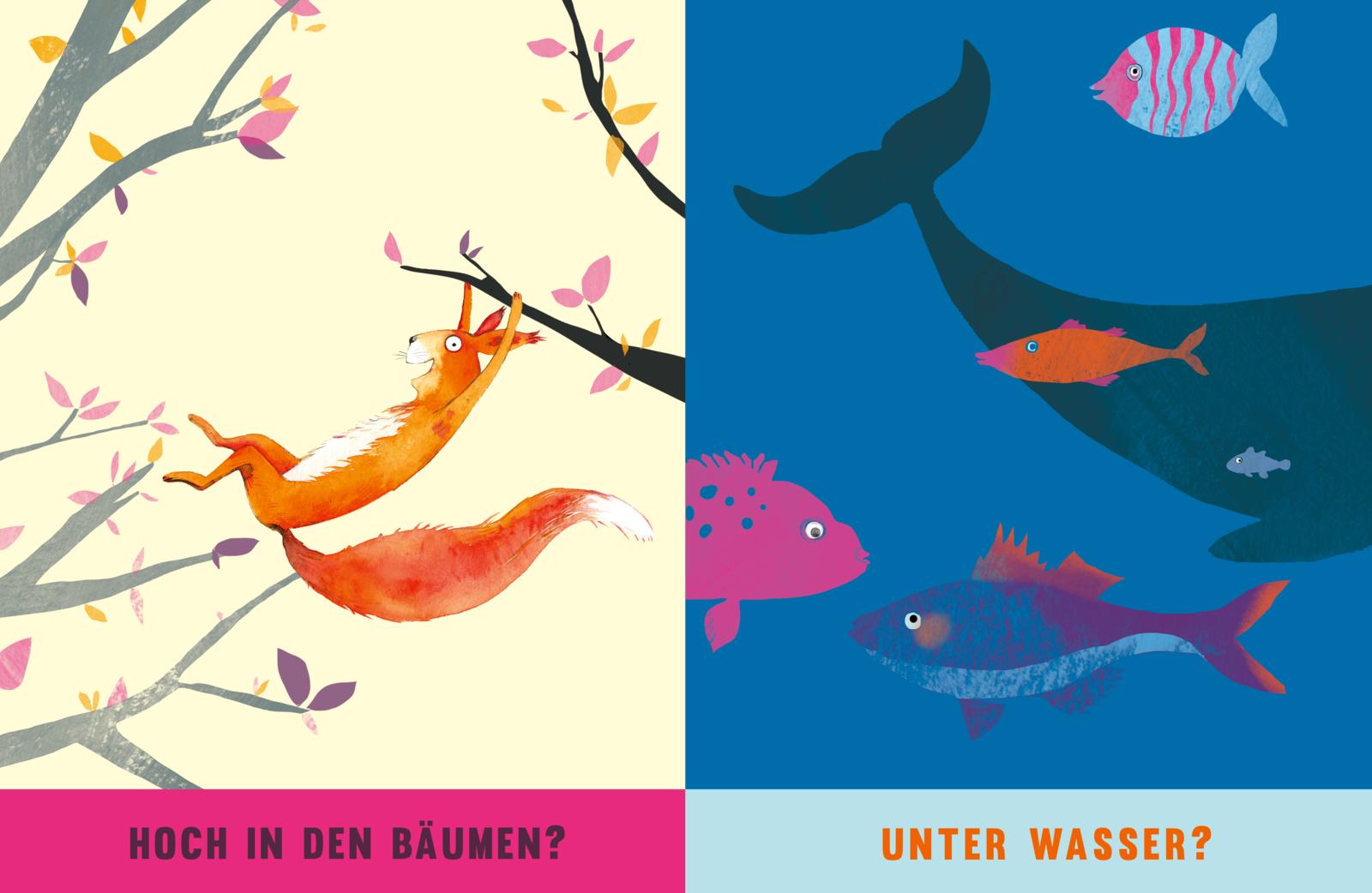 Wo bist du zu Hause? - Pappbilderbuch über Tiere (Mängelexemplar)