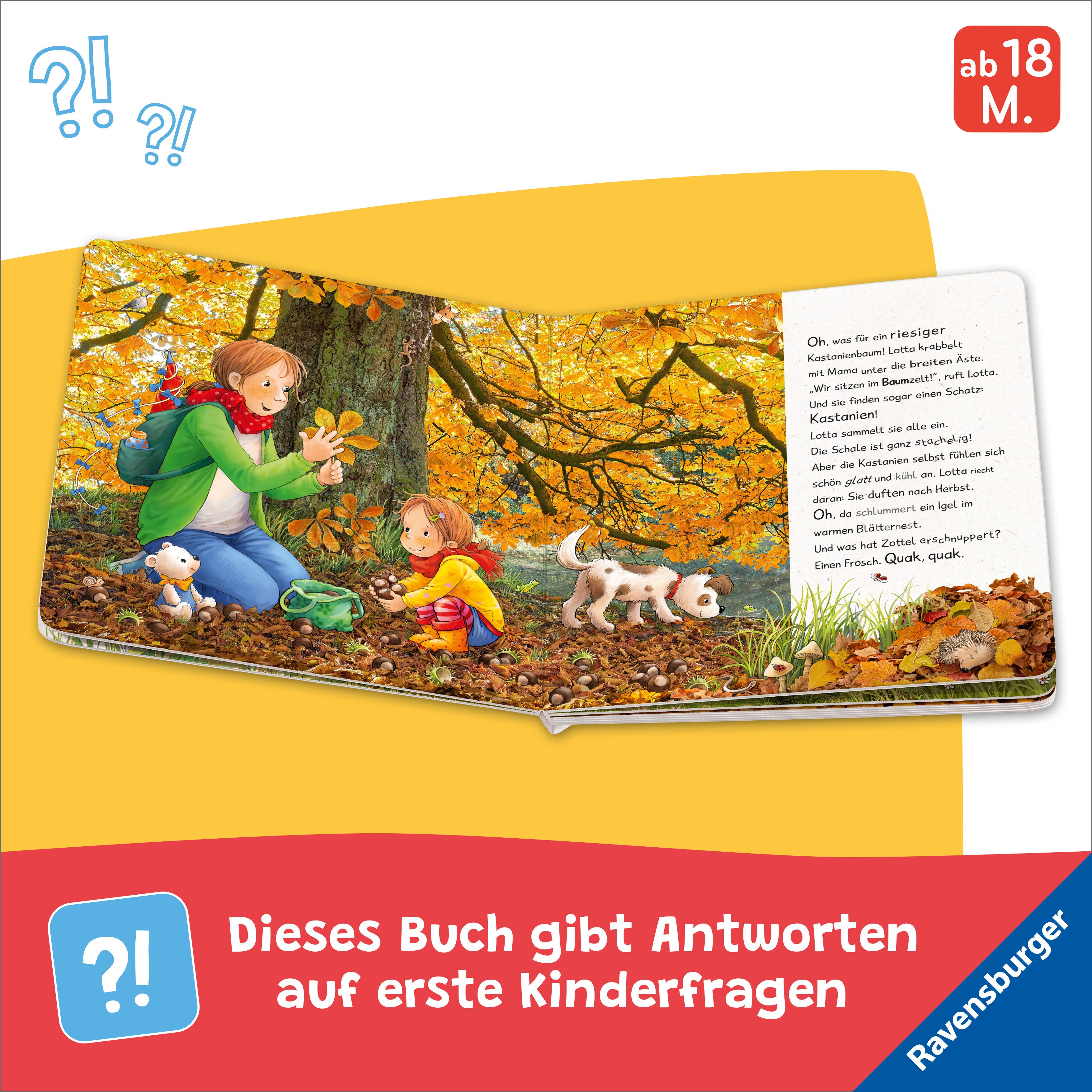 Lotta entdeckt die Welt: Im Herbst (Mängelexemplar)