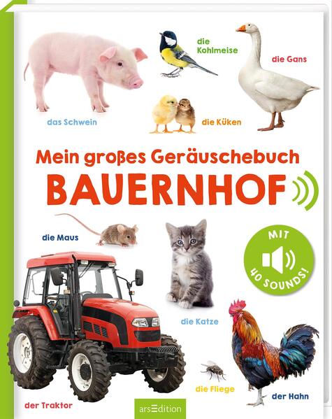 Mein großes Geräuschebuch – Bauernhof - Soundbuch (Mängelexemplar)