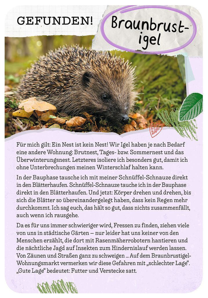 Tierische Wohnung gesucht (Mängelexemplar)