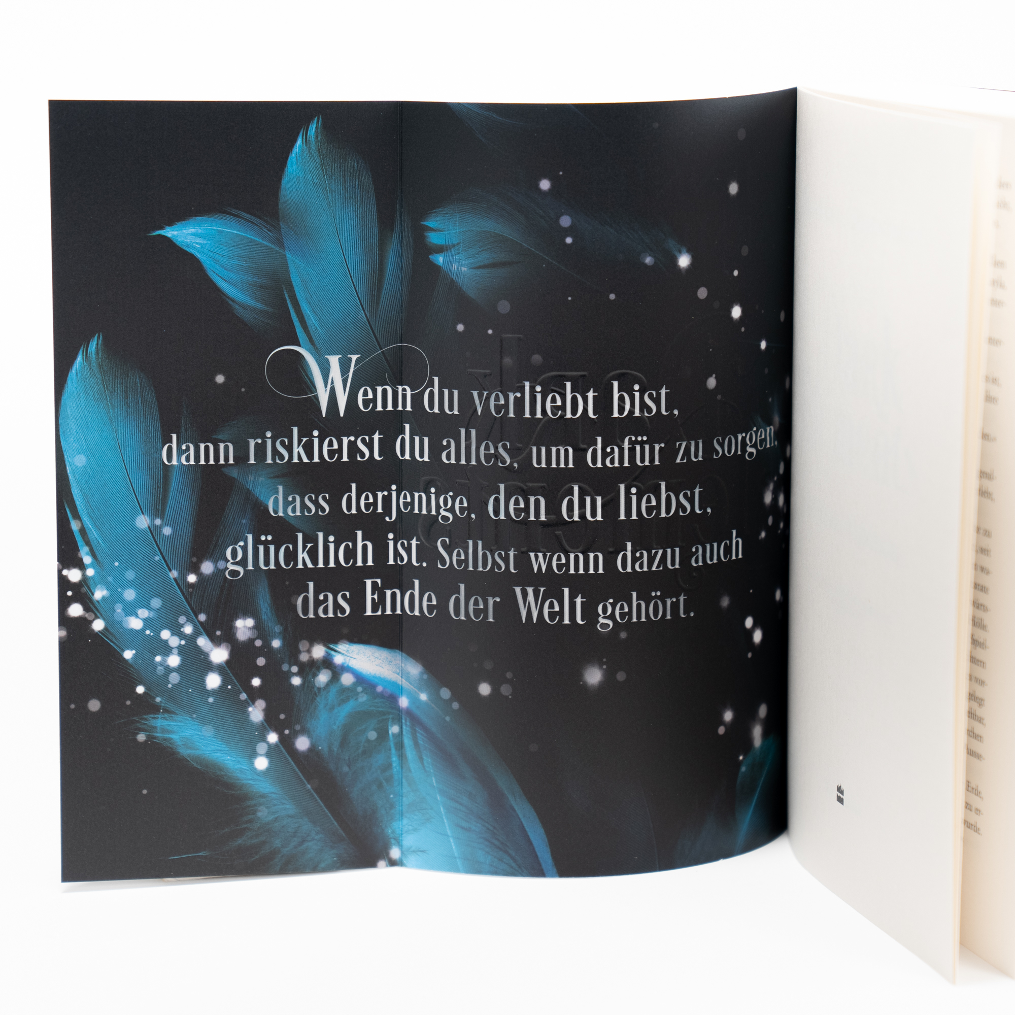 Dark Elements 1 - Steinerne Schwingen (Mängelexemplar)