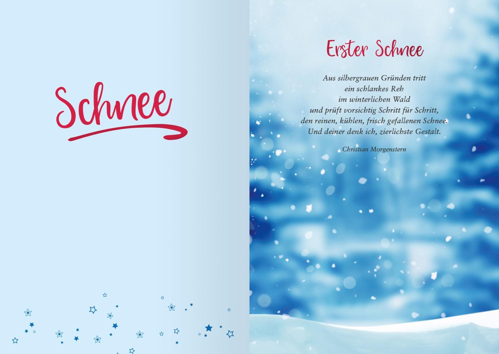 Sternennacht und Schneegeflüster - Wissenswertes, Bräuche und Legenden (Mängelexemplar)