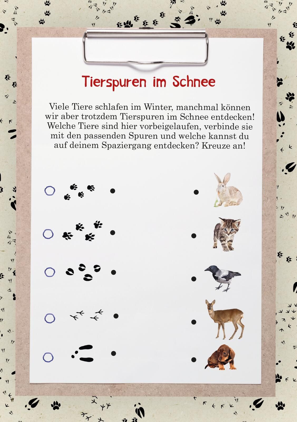 Abenteuer-Spaziergänge Im Winter