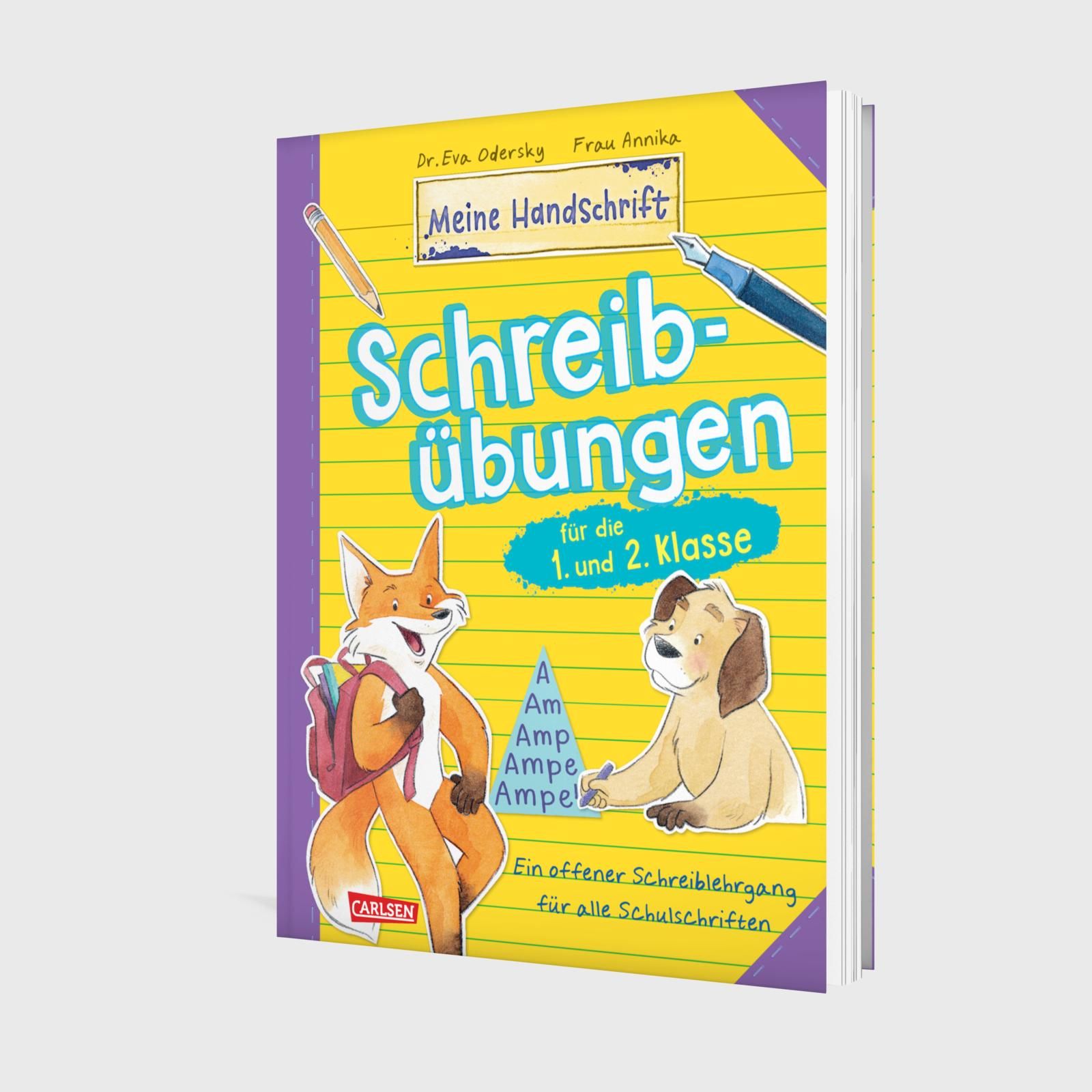 Schreibübungen für die 1. und 2. Klasse (Mängelexemplar)