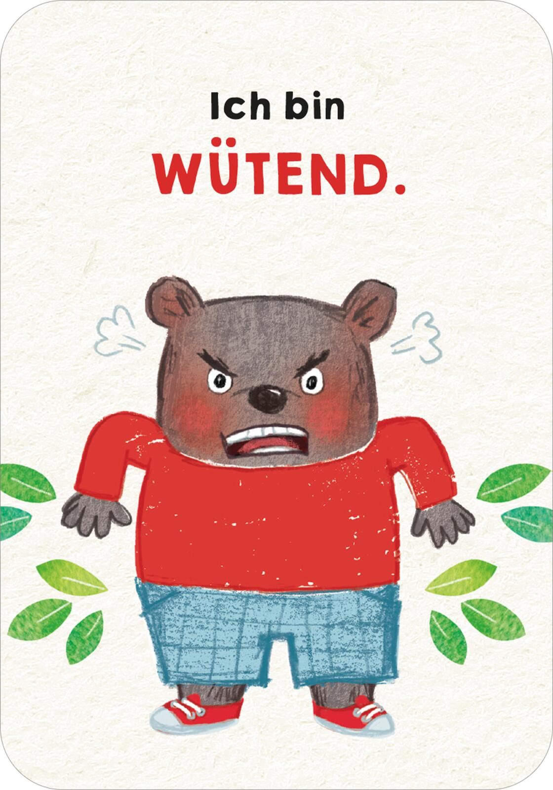 Gefühlskarten für Kinder – Emotionen erkennen und verstehen (Mängelexemplar)