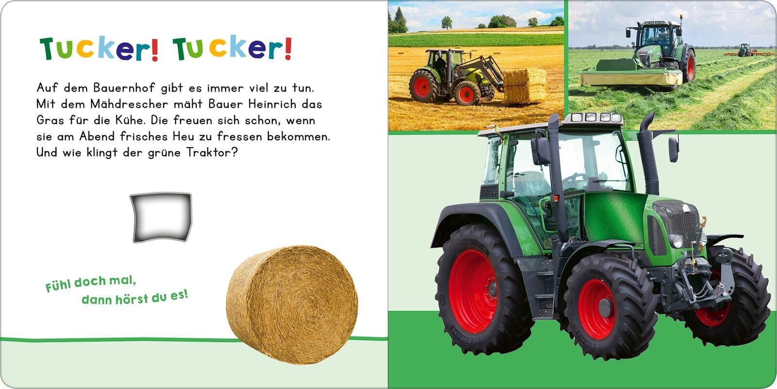 Hör mal rein, wer kann das sein? - Meine ersten Fahrzeuge - Soundbuch (Mängelexemplar)