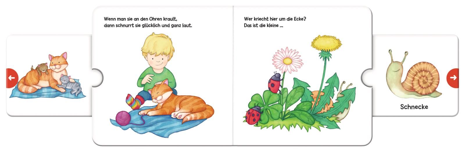 Miau! Wer schleicht auf leiser Tatze? Die ... Katze! - Großausgabe - ab 18 Monaten