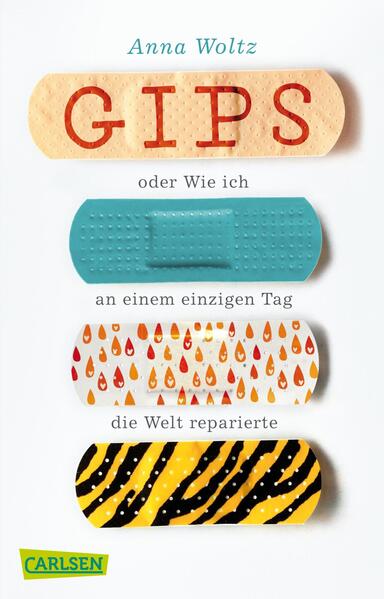 Gips oder Wie ich an einem einzigen Tag die Welt reparierte (Mängelexemplar)