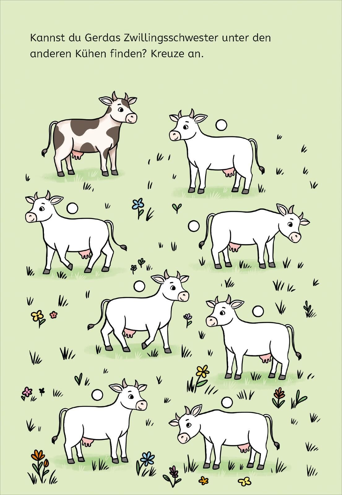 Zauberbilder-Rätsel – Tiere (Mängelexemplar)