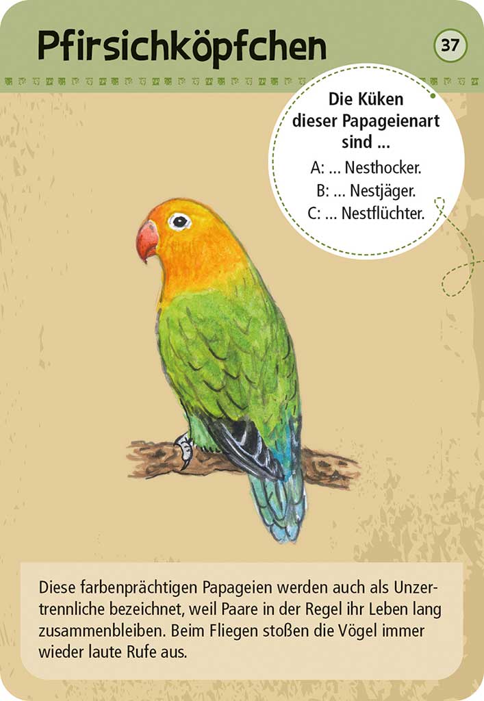 X_Expedition Natur - 50 Zootiere