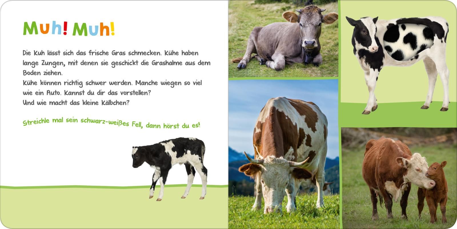 Hör mal rein, wer kann das sein? – Auf der Weide - Soundbuch (Mängelexemplar)
