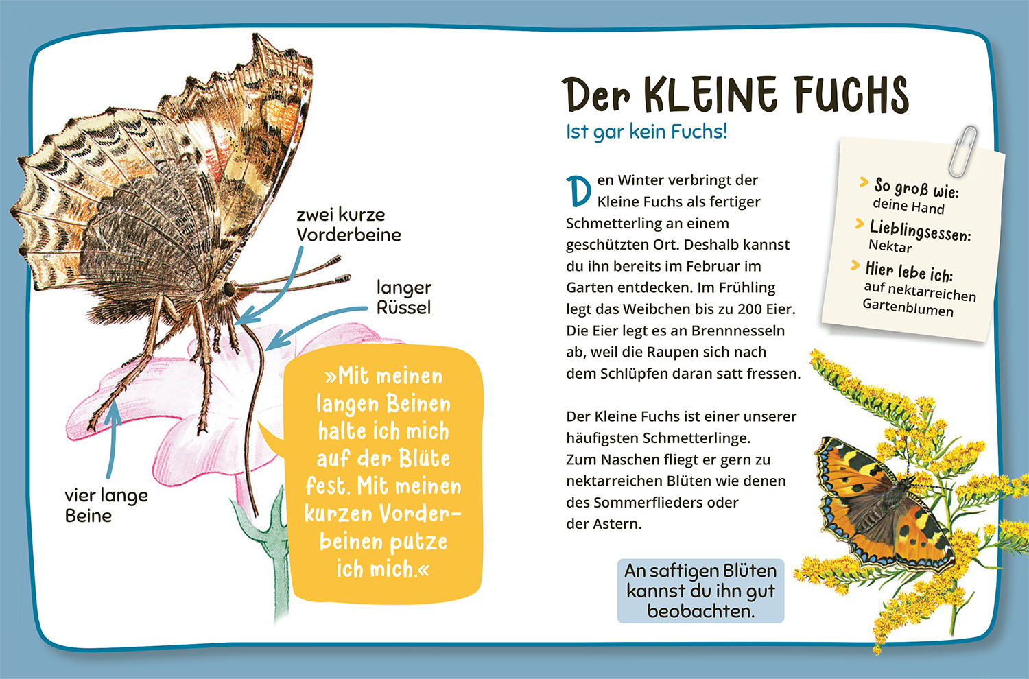 Mein erster Naturführer Was lebt im Garten? (Mängelexemplar)