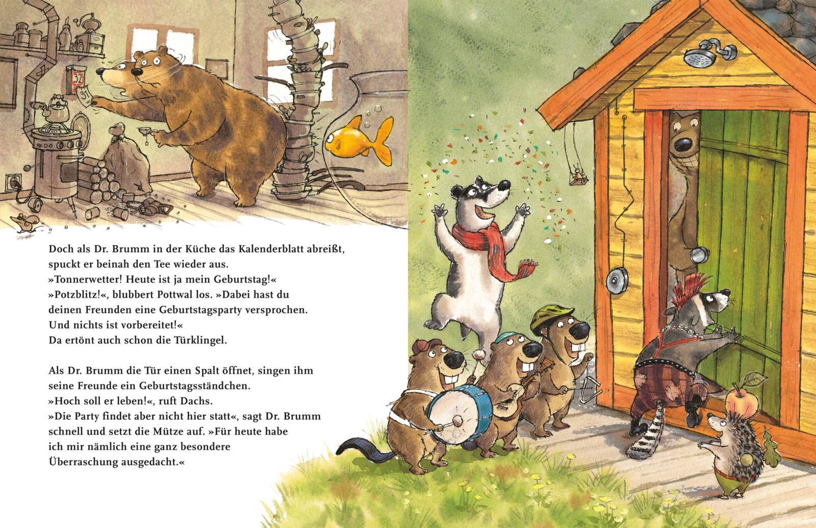 Dr. Brumm: Dr. Brumm feiert Geburtstag (Mängelexemplar)